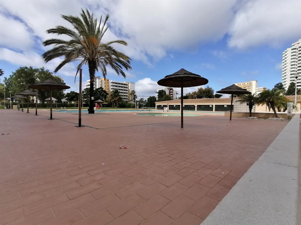 Apartment Paraiso Sol Rocha Luxurious *